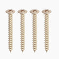 Allparts Neckplate Screws (4pk)