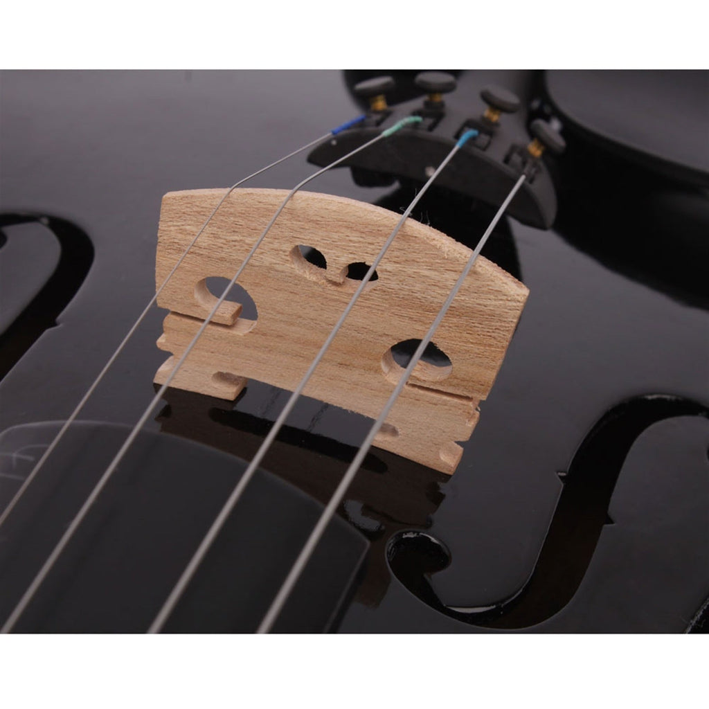 Black Acoustic Violin