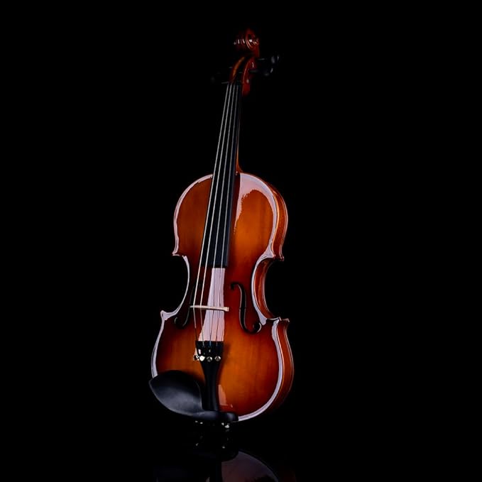 Rhythm Violin Set for Beginners,Acoustic Violins Starter Kit Package for Student,Beginners Fiddle with Hard Case, Rosin, Shoulder Rest, Bow, and Extra Strings (NATURAL, Full)