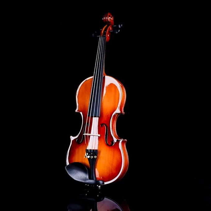 Rhythm Violin Set for Beginners,Acoustic Violins Starter Kit Package for Student,Beginners Fiddle with Hard Case, Rosin, Shoulder Rest, Bow, and Extra Strings (NATURAL, 1/2)