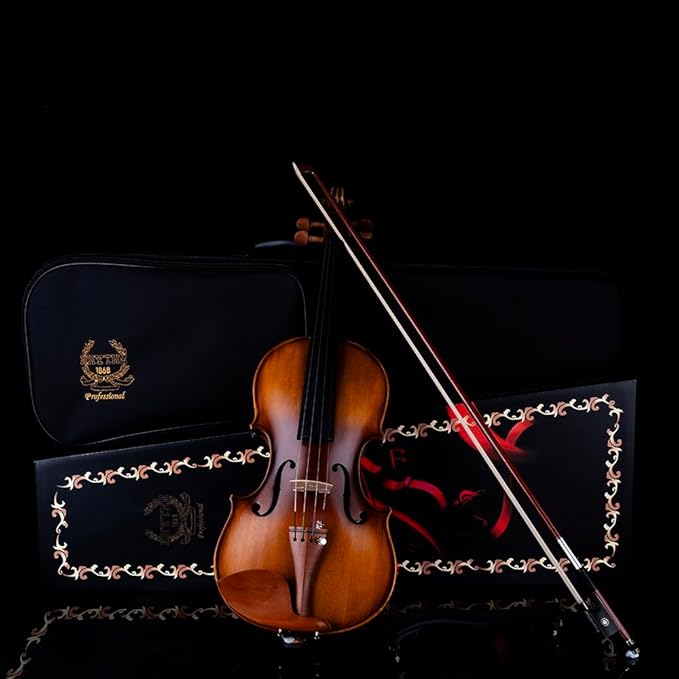 Rhythm Violin Set for Beginners,Acoustic Violins Starter Kit Package for Student,Beginners Fiddle with Hard Case, Rosin, Shoulder Rest, Bow, and Extra Strings (MATTE, Full)