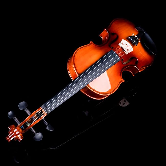 Rhythm Violin Set for Beginners,Acoustic Violins Starter Kit Package for Student,Beginners Fiddle with Hard Case, Rosin, Shoulder Rest, Bow, and Extra Strings (NATURAL, 1/2)