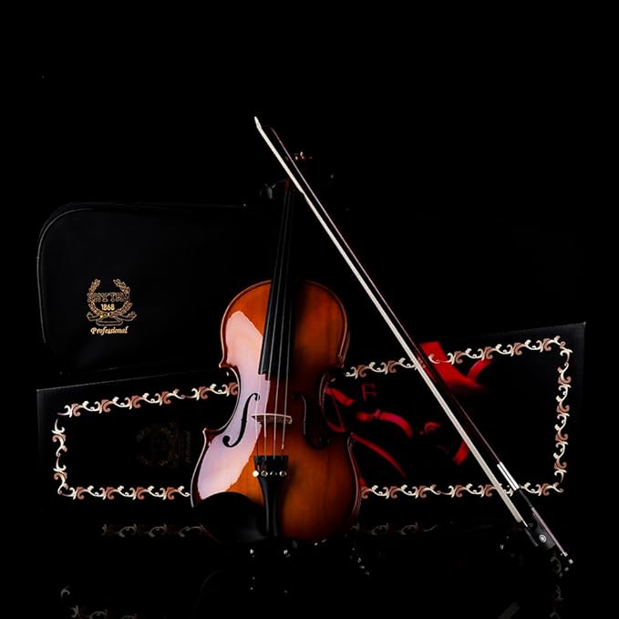 Rhythm Violin Set for Beginners,Acoustic Violins Starter Kit Package for Student,Beginners Fiddle with Hard Case, Rosin, Shoulder Rest, Bow, and Extra Strings (NATURAL, Full)