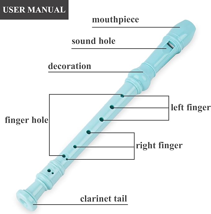 Recorder Instrument for Beginner Adults,8-Hole Soprano Descant Recorder Music Flute with Cleaning Rod & Case Bag For Home Entertainment(2-Cactus2)