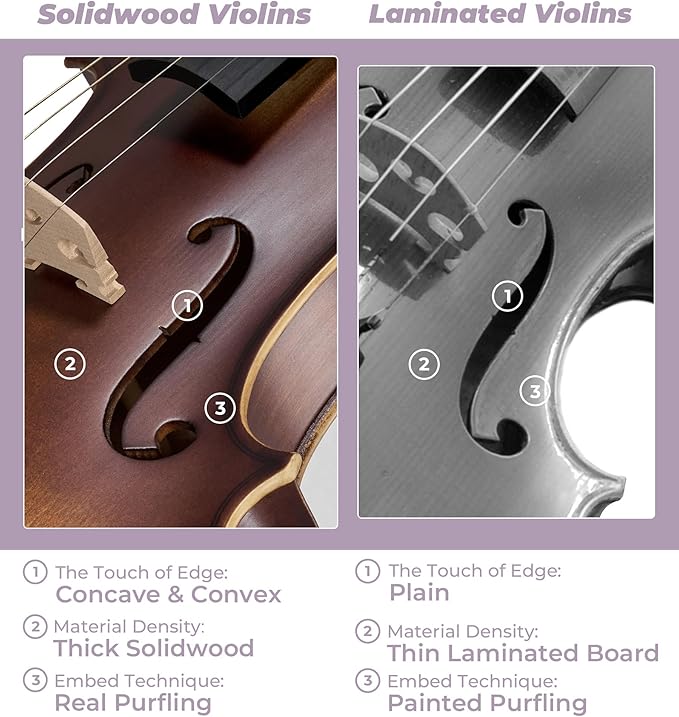 Vangoa Violin 4/4 Full Size Set, Varnish Fiddle Solid Wood for Professional Adults Senior Intermediate Beginners Student Starter Acoustic Violins Kit Outfit with Ebony Fitted, Hard Case, Right Handed