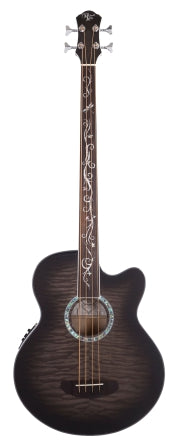 Dragonfly 4 Fretless Acoustic Bass with Smoke Burst Finish