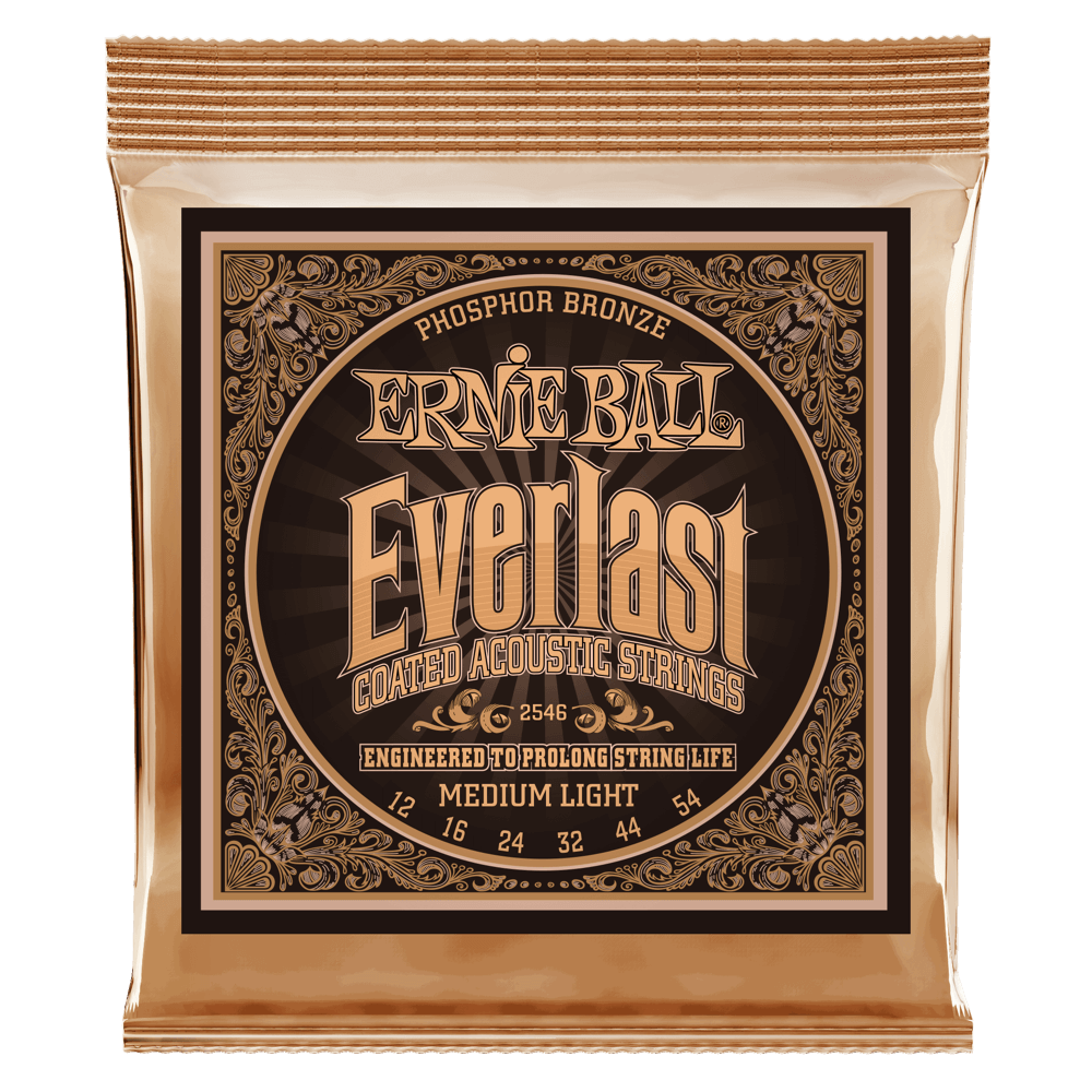 Ernie Ball 12-54 Everlast Coasted Phosphor Bronze Acoustic Strings P02546