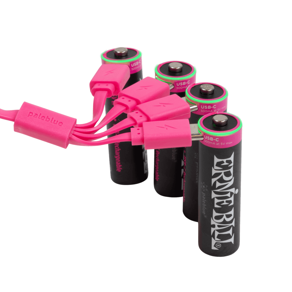 Ernie Ball USB-C Rechargeable AA Battery by Paleblue - 4-pack