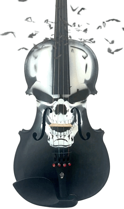 Scourge of War Skull Violin Outfit | Carbon Fiber Bow & Crystal Fine Tuners