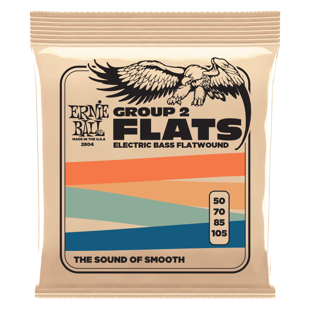 Ernie Ball P02804 Flatwound 50-105 Bass Strings