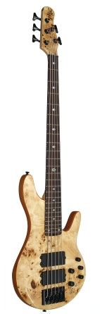 Pinnacle 5-String Bass Electric Bass Guitar with Natural Burl Finish Michael Kelly Guitars Stringed Instruments