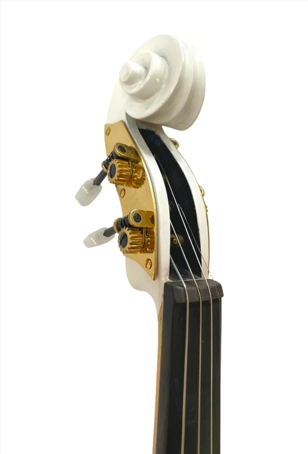 Rose Delight Electric Acoustic Violin Outfit | Mechanical Pegs & Carbon Fiber Bow