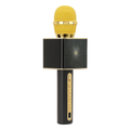 Wireless Karaoke Microphone with Built-in Speaker