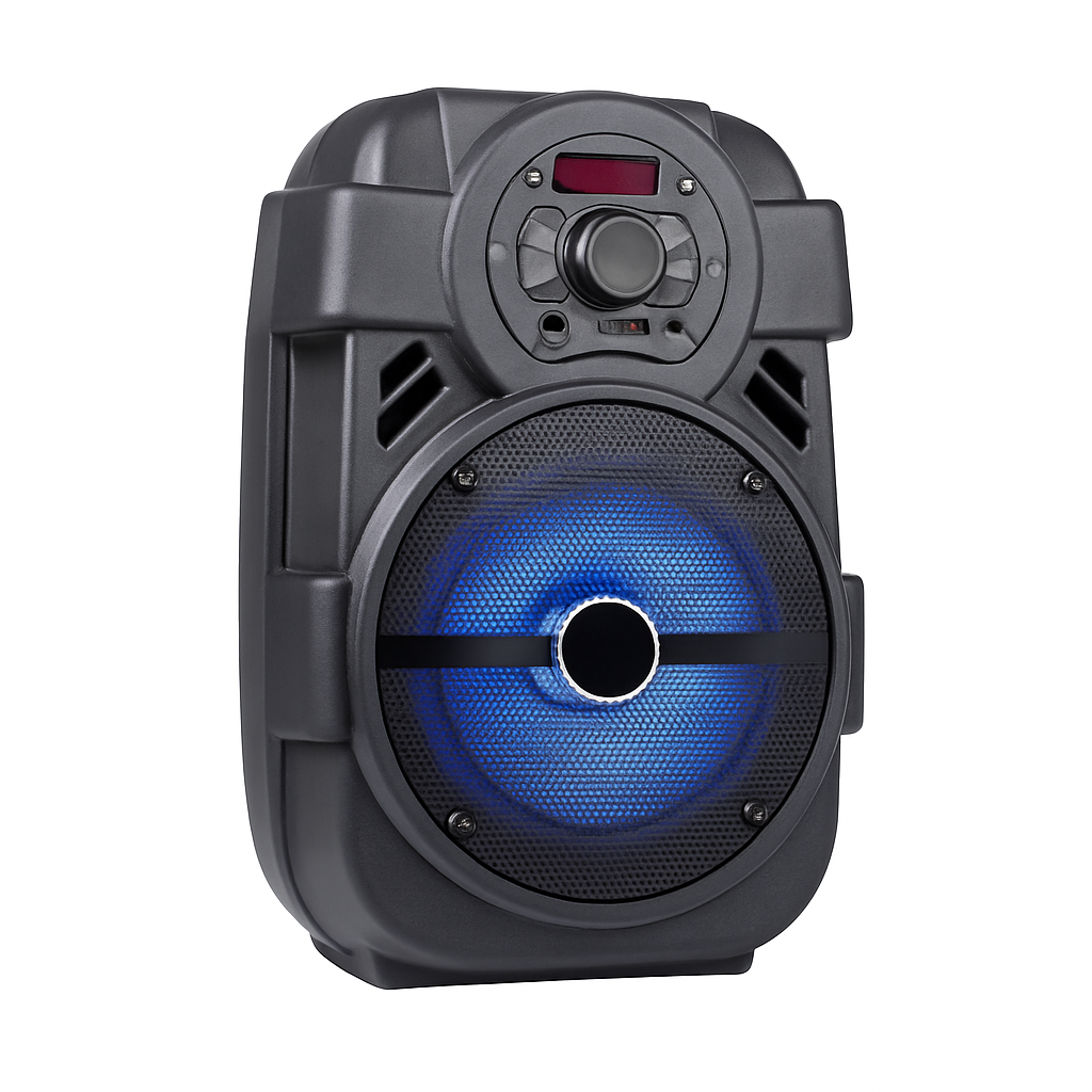 Portable PA Karaoke Speaker for Home Parties