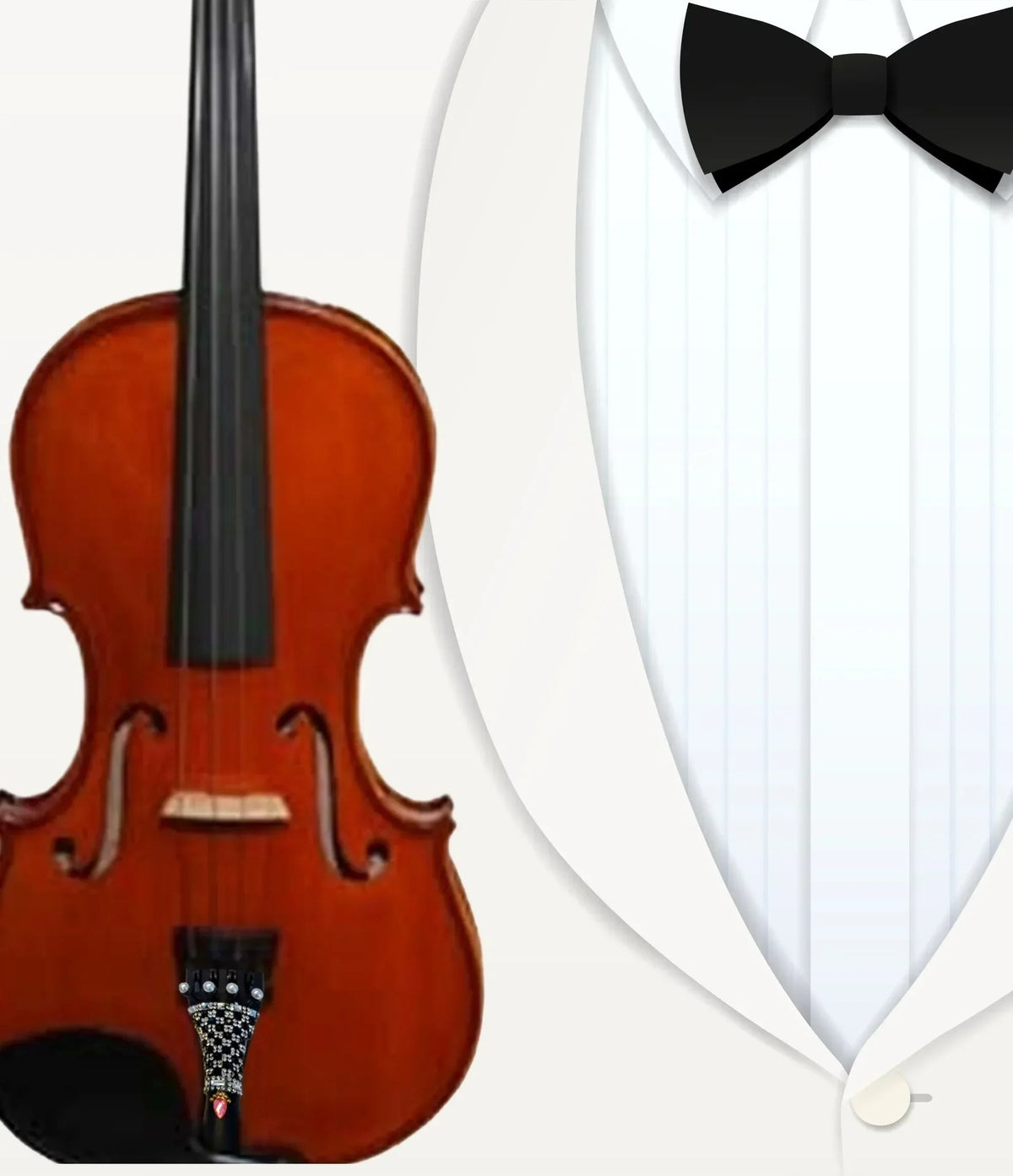 Lumina Artist Violin Outfit – Tuxedo II